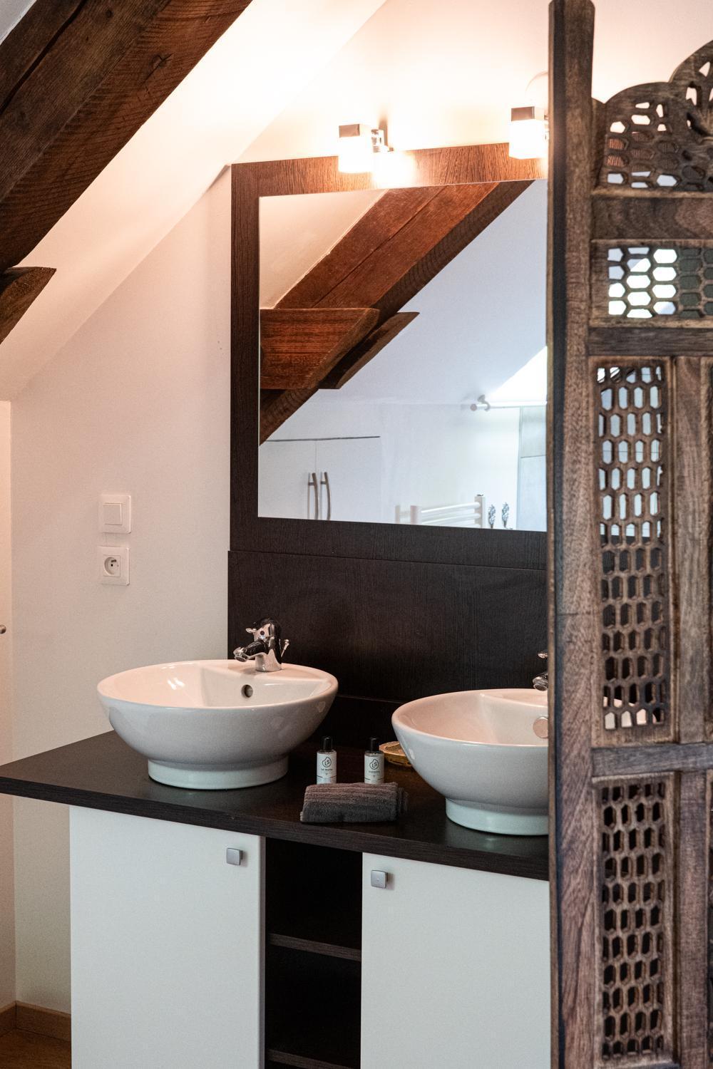 Carnot Duplex, Spacieux 3 Pieces Avec 2 Chambres Sur Les Rue Pietonnes Анси Экстерьер фото