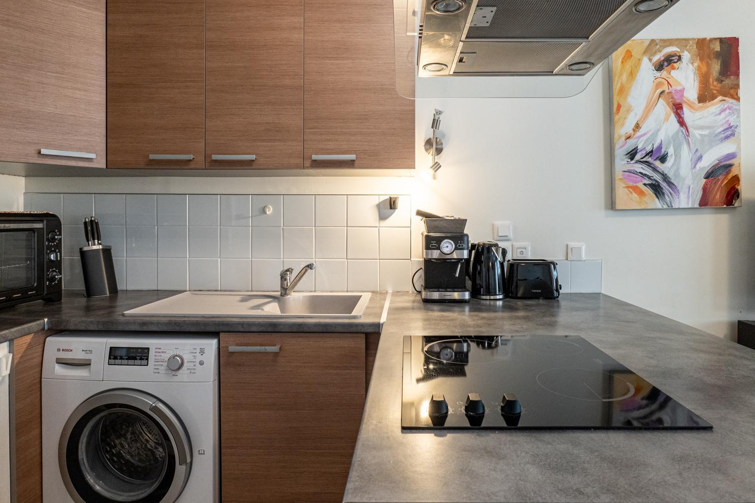 Carnot Duplex, Spacieux 3 Pieces Avec 2 Chambres Sur Les Rue Pietonnes Анси Экстерьер фото